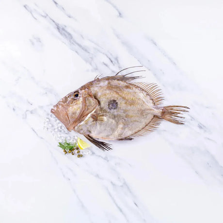 An introduction to John Dory - The Cornish Fishmonger