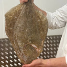 Brill (Cornish)