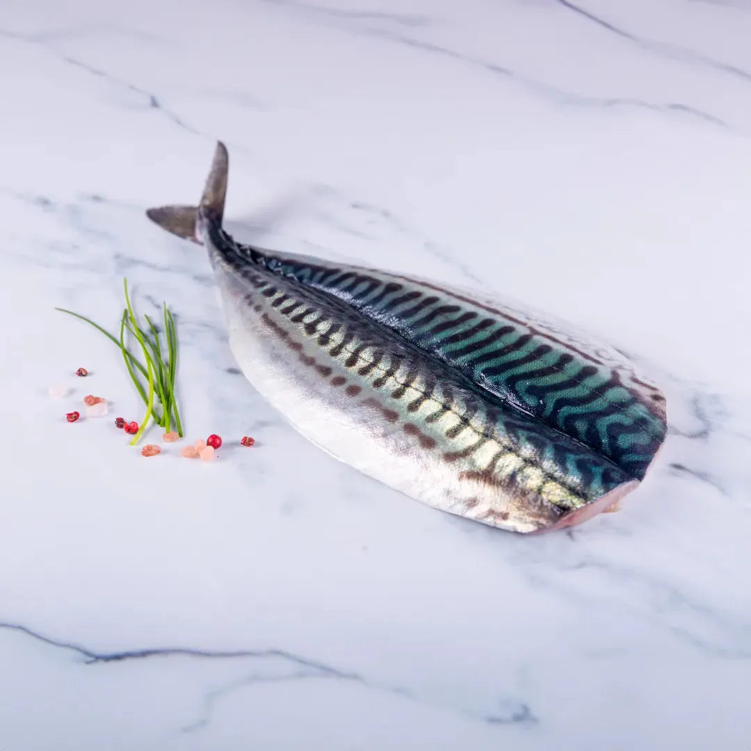 Mackerel 1kg - The Cornish Fishmonger