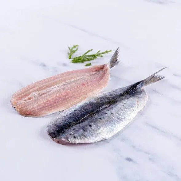 Oily Fish Selection Box - 10 portions - The Cornish Fishmonger