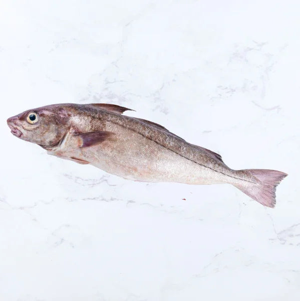 Haddock portions (2 x 140-160g)