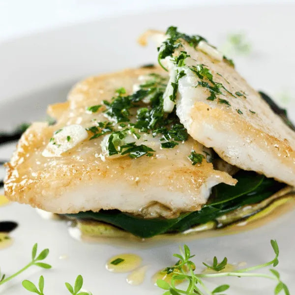 Turbot Fillet Portions (2 x 120-140g pack) - The Cornish Fishmonger