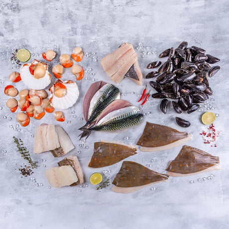 Frozen Fish Selection - 20 portion - The Cornish Fishmonger