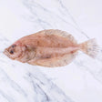 Cornish Sole (Megrim) 400 - 450g - The Cornish Fishmonger