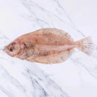Cornish Sole (Megrim) 350-450g