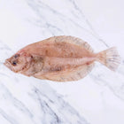 Megrim (Cornish Sole) 350-450g