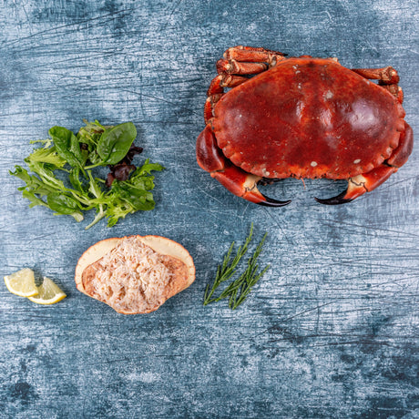 Dressed Crab - The Cornish Fishmonger