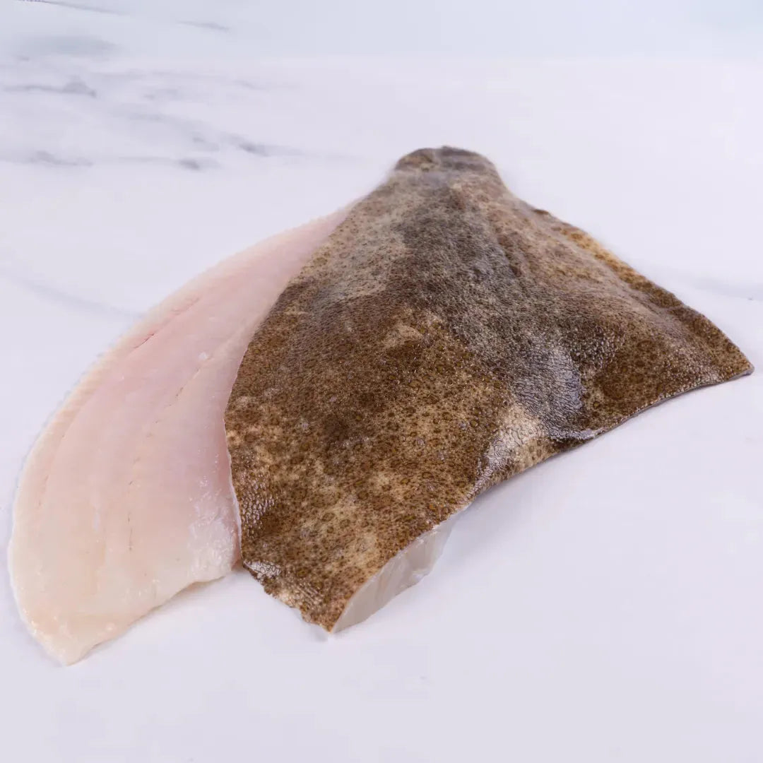 Turbot - The Cornish Fishmonger