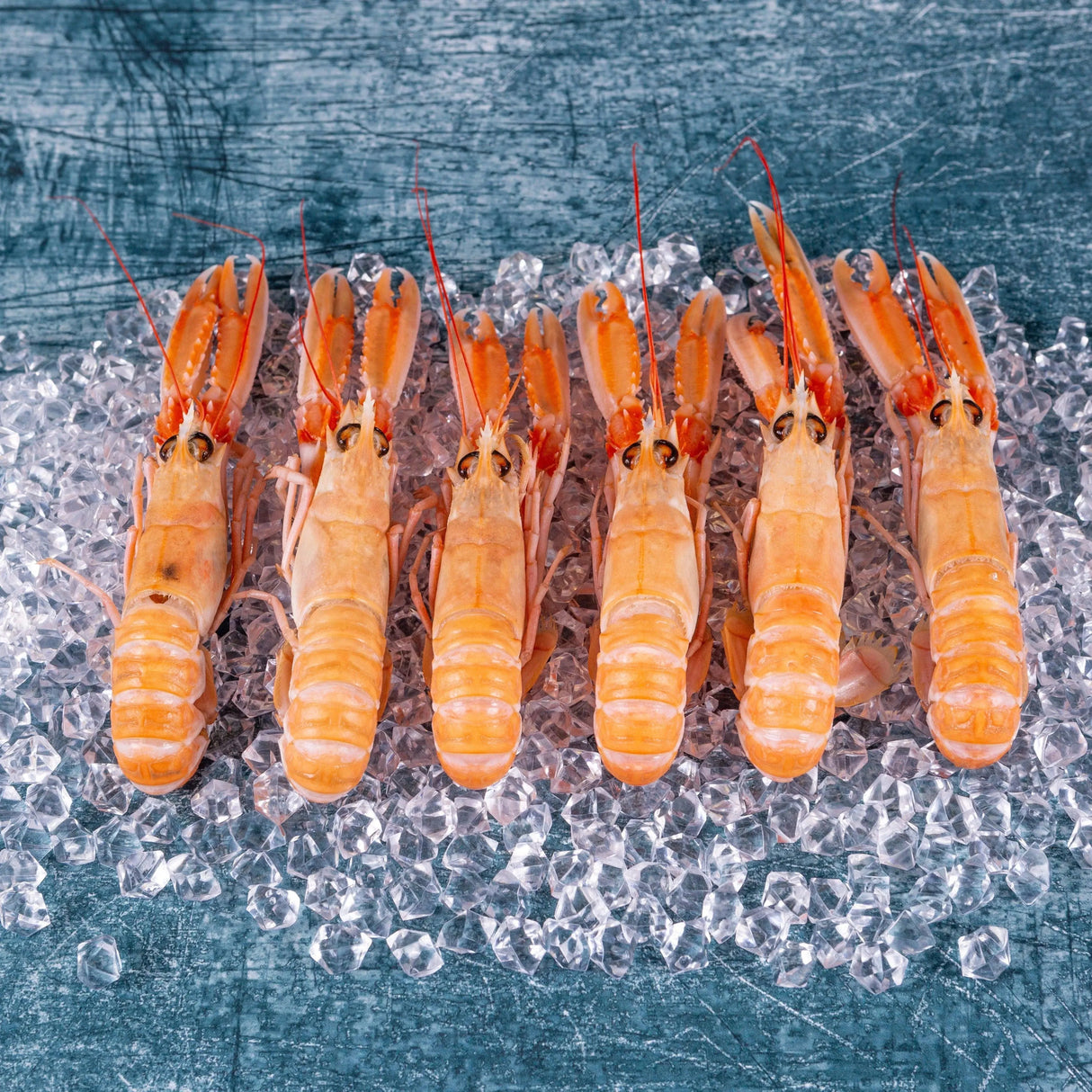 Langoustine (8-12 per box) - The Cornish Fishmonger