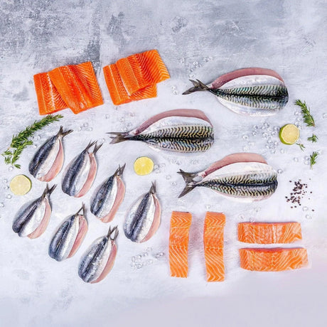 Oily Fish Selection Box - 20 portions - The Cornish Fishmonger