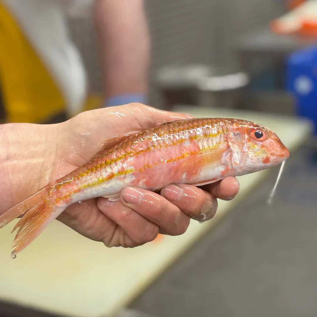 Red Mullet (x2 pack) 200g each