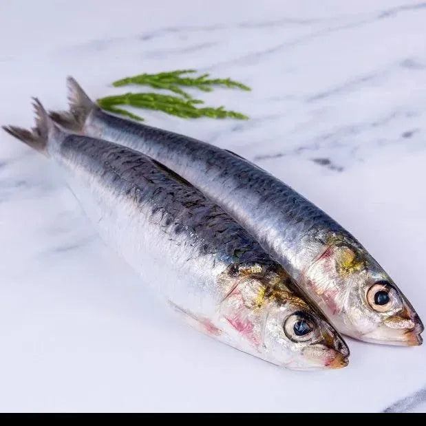 Oily Fish Selection Box - 10 portions - The Cornish Fishmonger