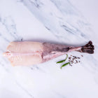 Monkfish Tail