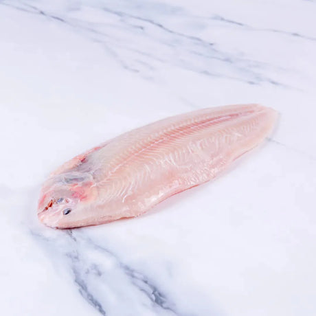 Dover Sole (350 - 400g) - The Cornish Fishmonger