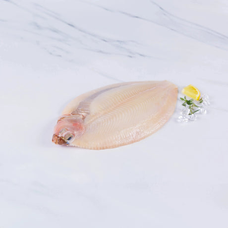 Lemon Sole (350 - 450g) - The Cornish Fishmonger