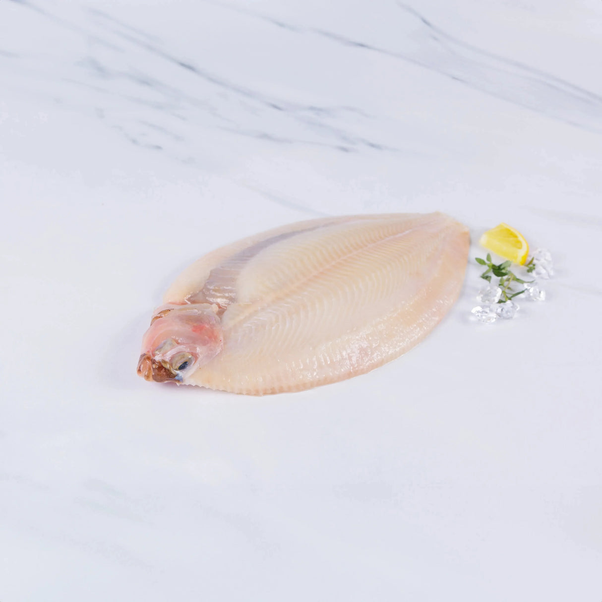 Lemon Sole (350 - 450g) - The Cornish Fishmonger