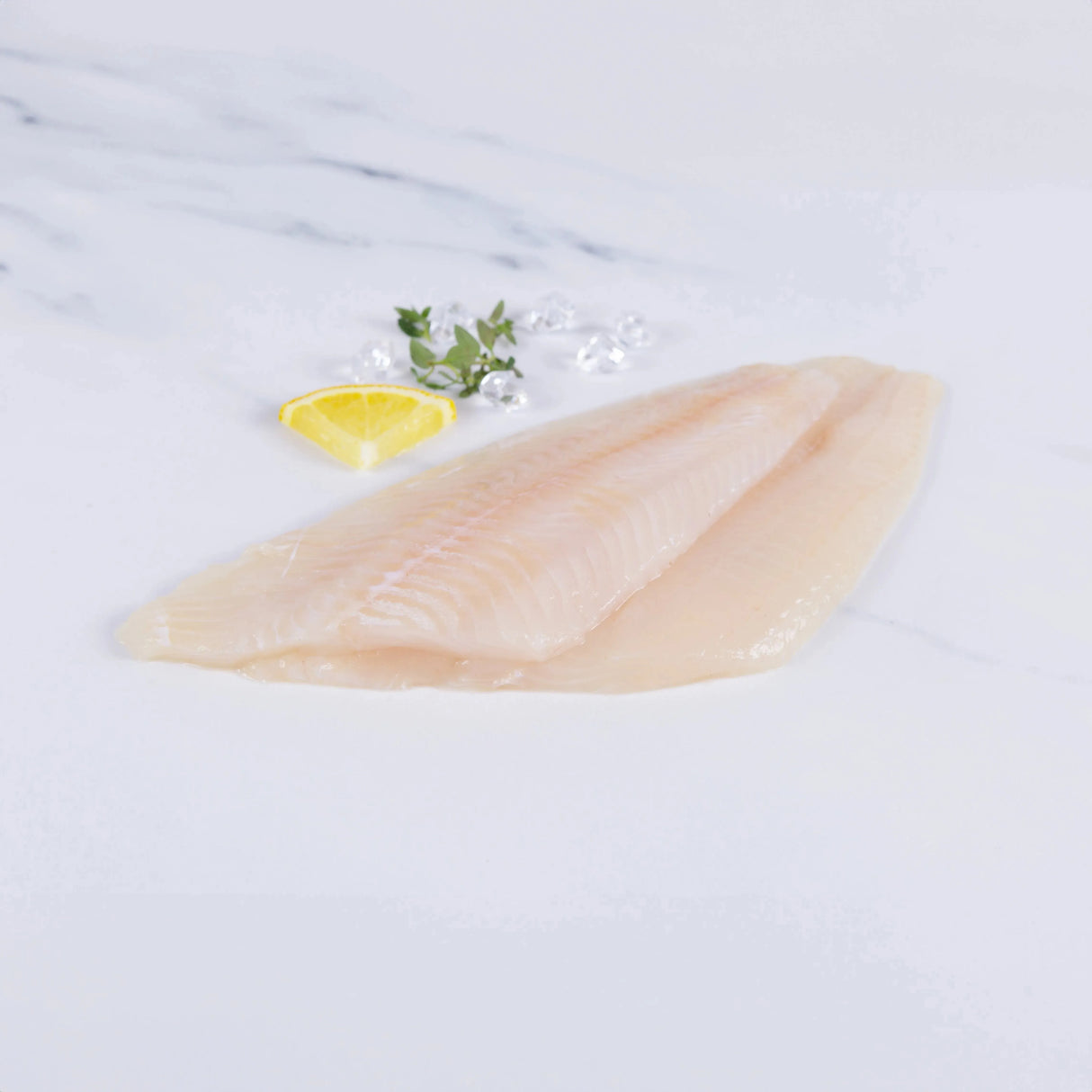 Lemon Sole (350 - 450g) - The Cornish Fishmonger