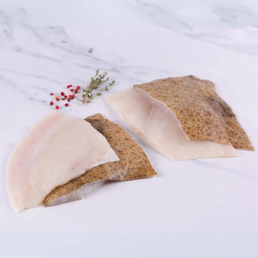 Turbot - The Cornish Fishmonger