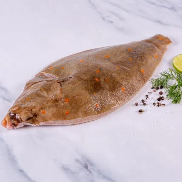 Plaice (300 - 400g) - The Cornish Fishmonger