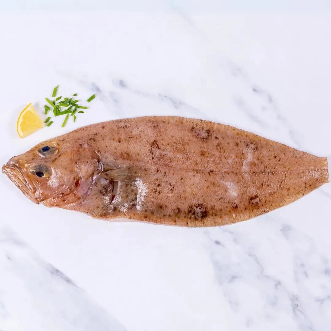 Cornish Sole (Megrim) 400 - 450g - The Cornish Fishmonger