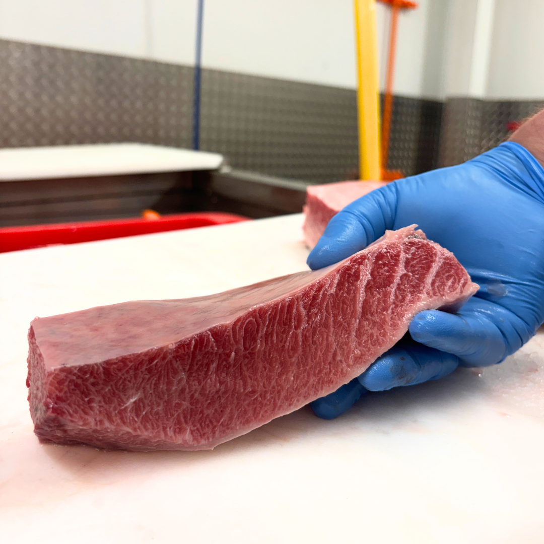 Cornish Bluefin Tuna Belly (Toro) 300g