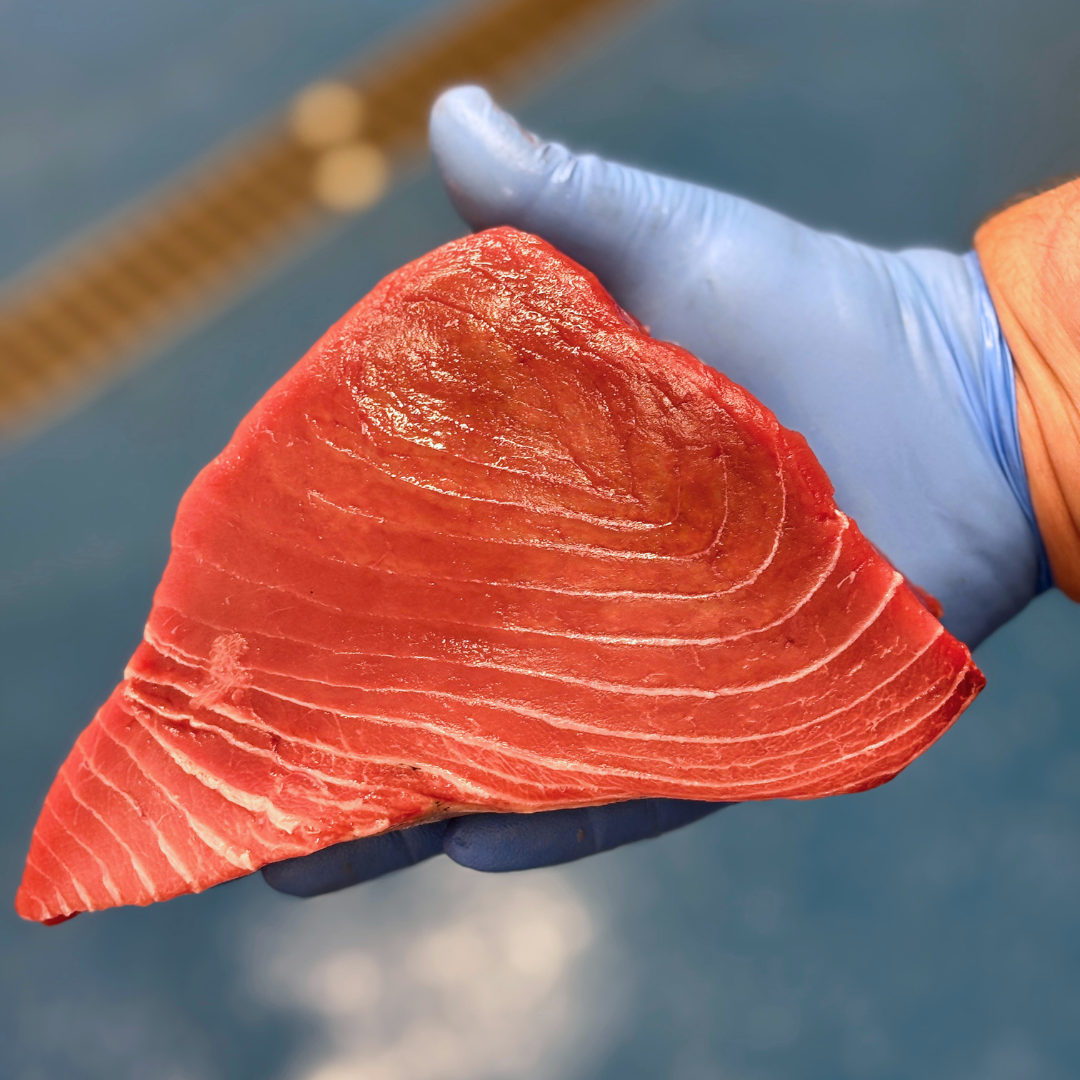 Cornish Bluefin Tuna Loin 500-600g