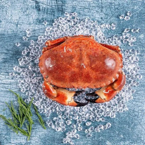 Whole Brown Crab - The Cornish Fishmonger