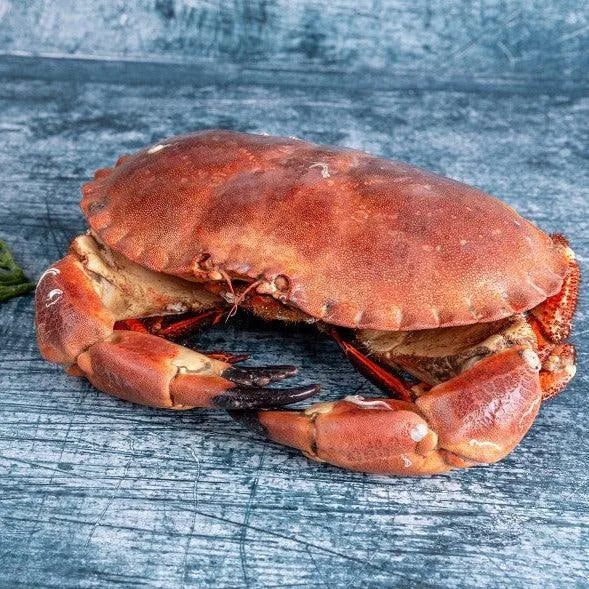 Whole Brown Crab - The Cornish Fishmonger