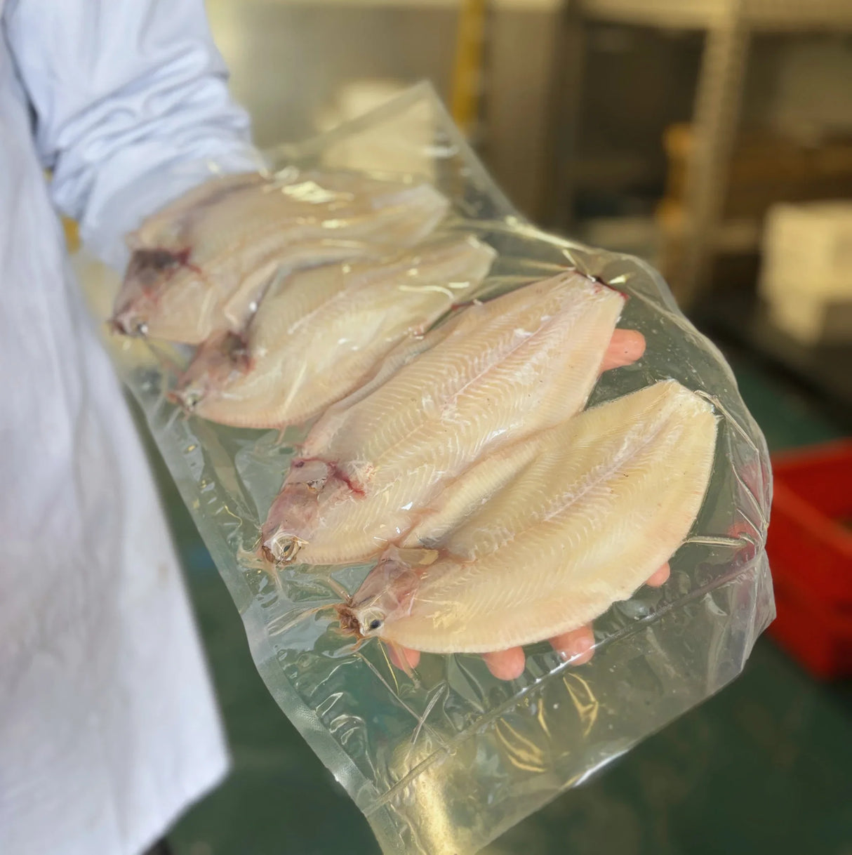 Lemon Sole (4 x 200g-350g)