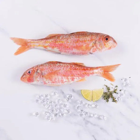 Cornish Red Mullet (x2 pack) - The Cornish Fishmonger