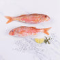 Cornish Red Mullet (x2 pack) - The Cornish Fishmonger