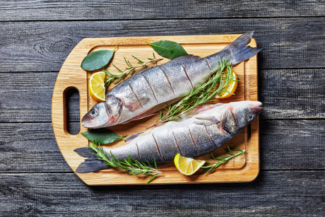 What Fish to Eat Between September & October
