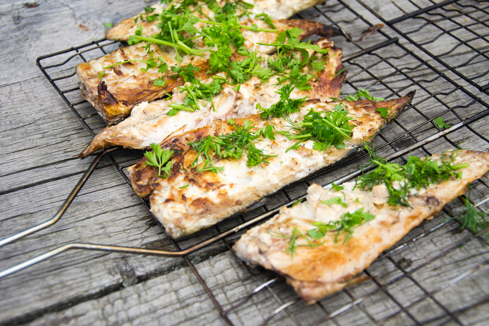 Grilled John Dory fillets on a rustic grill rack, garnished with fresh herbs