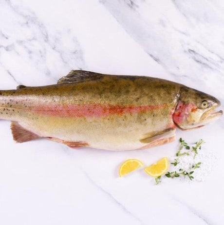 An introduction to Cornish Trout - The Cornish Fishmonger