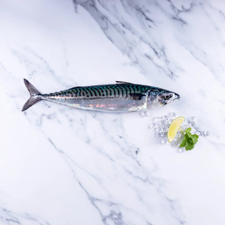 Cooking Pan Fried Mackerel & Beetroot Relish with Rupert Cooper