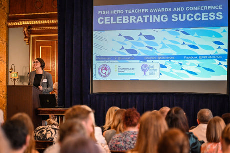 Celebrating Seafood Education
