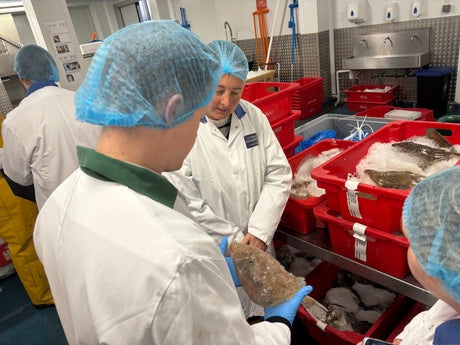 Seafood professionals inspecting fresh fish in ice-filled crates at a fish market facility