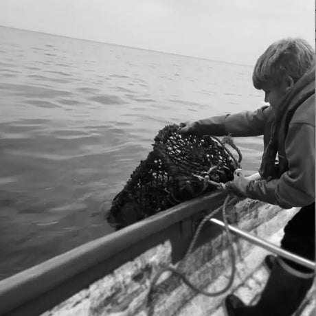 The Future of Cornish Fishing - The Cornish Fishmonger