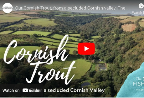 Our Cornish Trout, from a secluded Cornish valley. - The Cornish Fishmonger