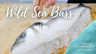 An introduction to Wild Sea Bass - The Cornish Fishmonger