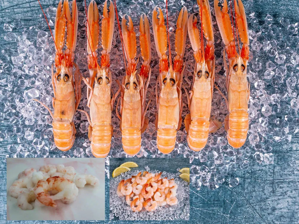 PRAWNS – The Cornish Fishmonger