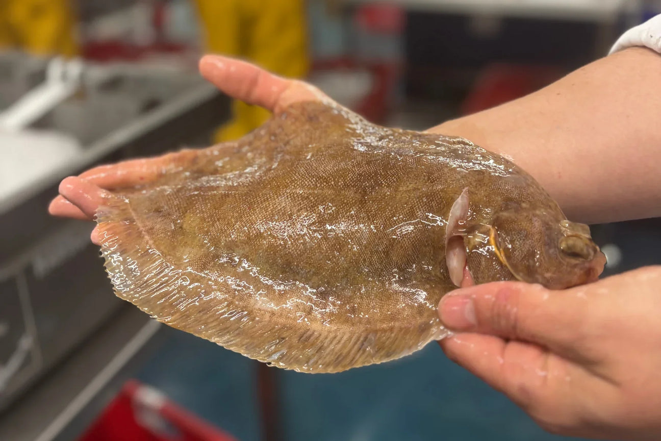 FRESH FISH
