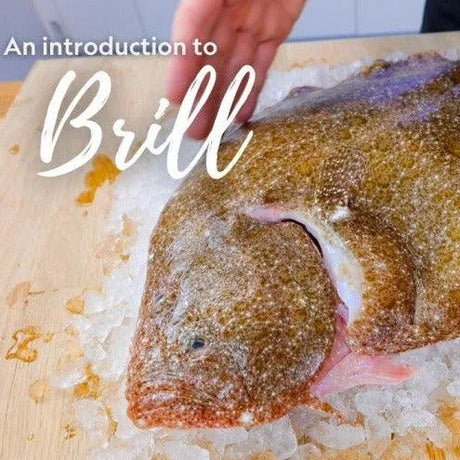 Brill (Cornish) - The Cornish Fishmonger