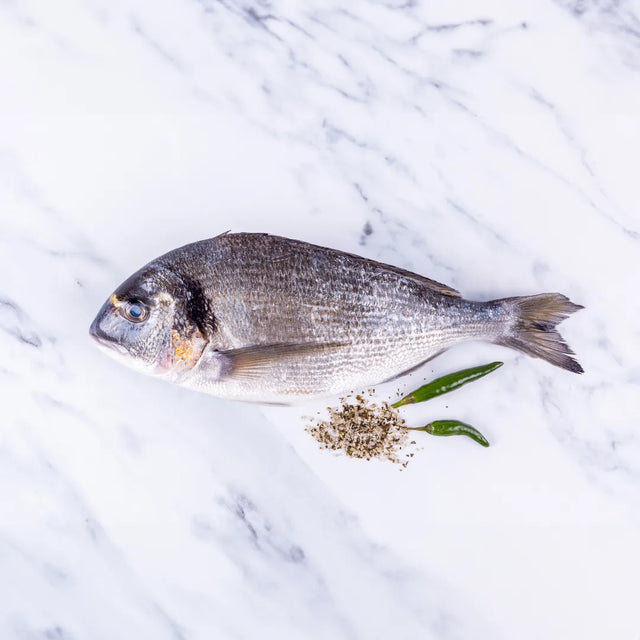 Gilt Head Bream (400 - 600g) - The Cornish Fishmonger