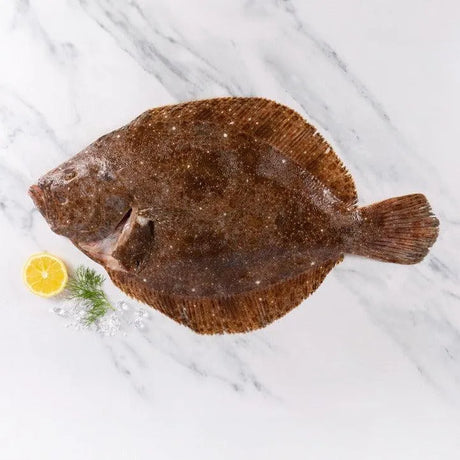 Brill whole fish