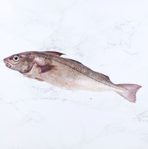 Haddock portions (2 x 140-160g)