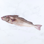 Haddock portions (2 x 140-160g)