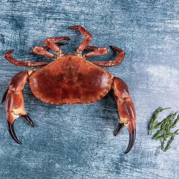 Whole Brown Crab delivered to your door | The Cornish Fishmonger