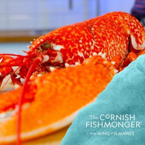 Cornish Lobster