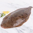 Dover Sole (350 - 400g)